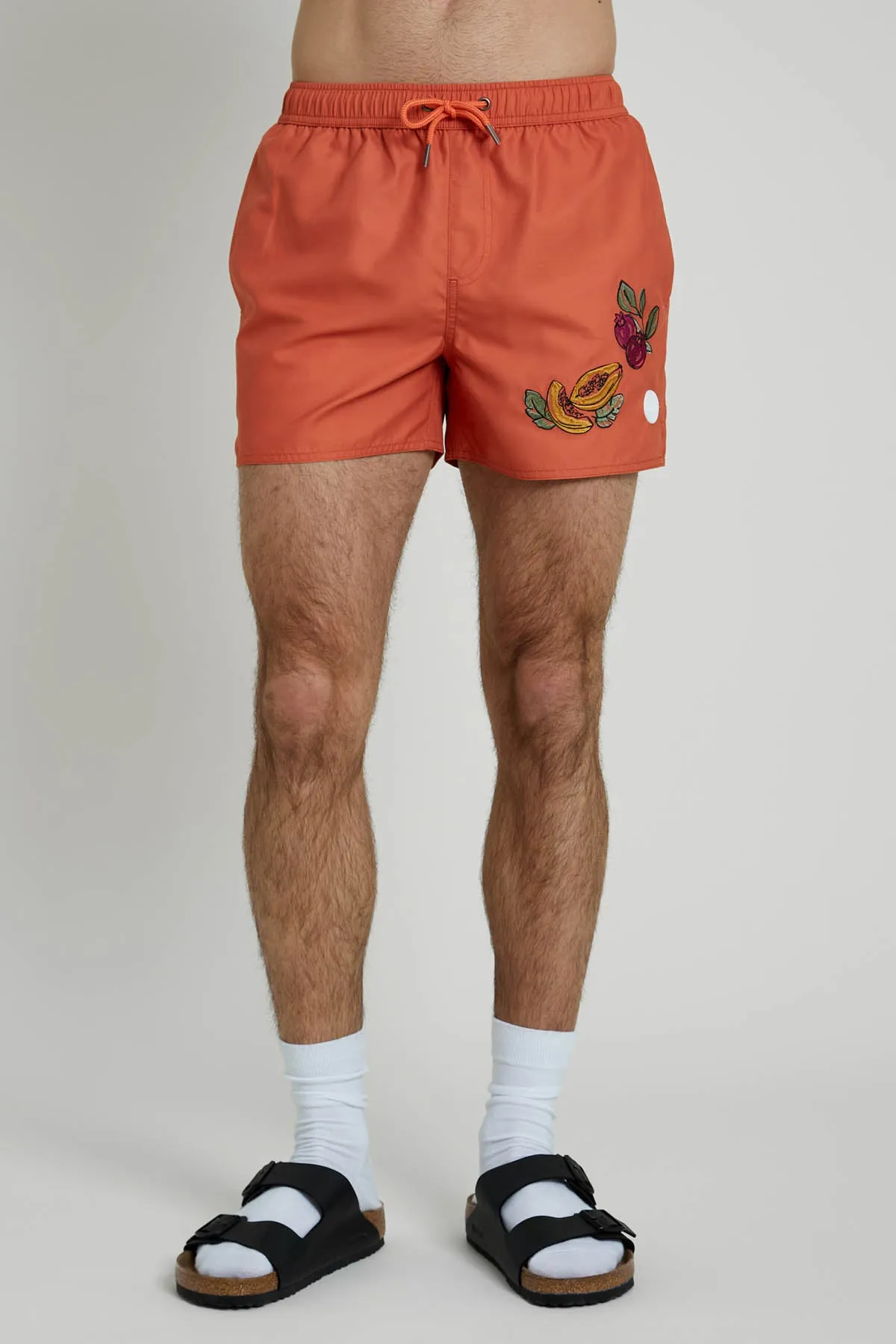 ETAERIO EMBROIDERED SWIM SHORT