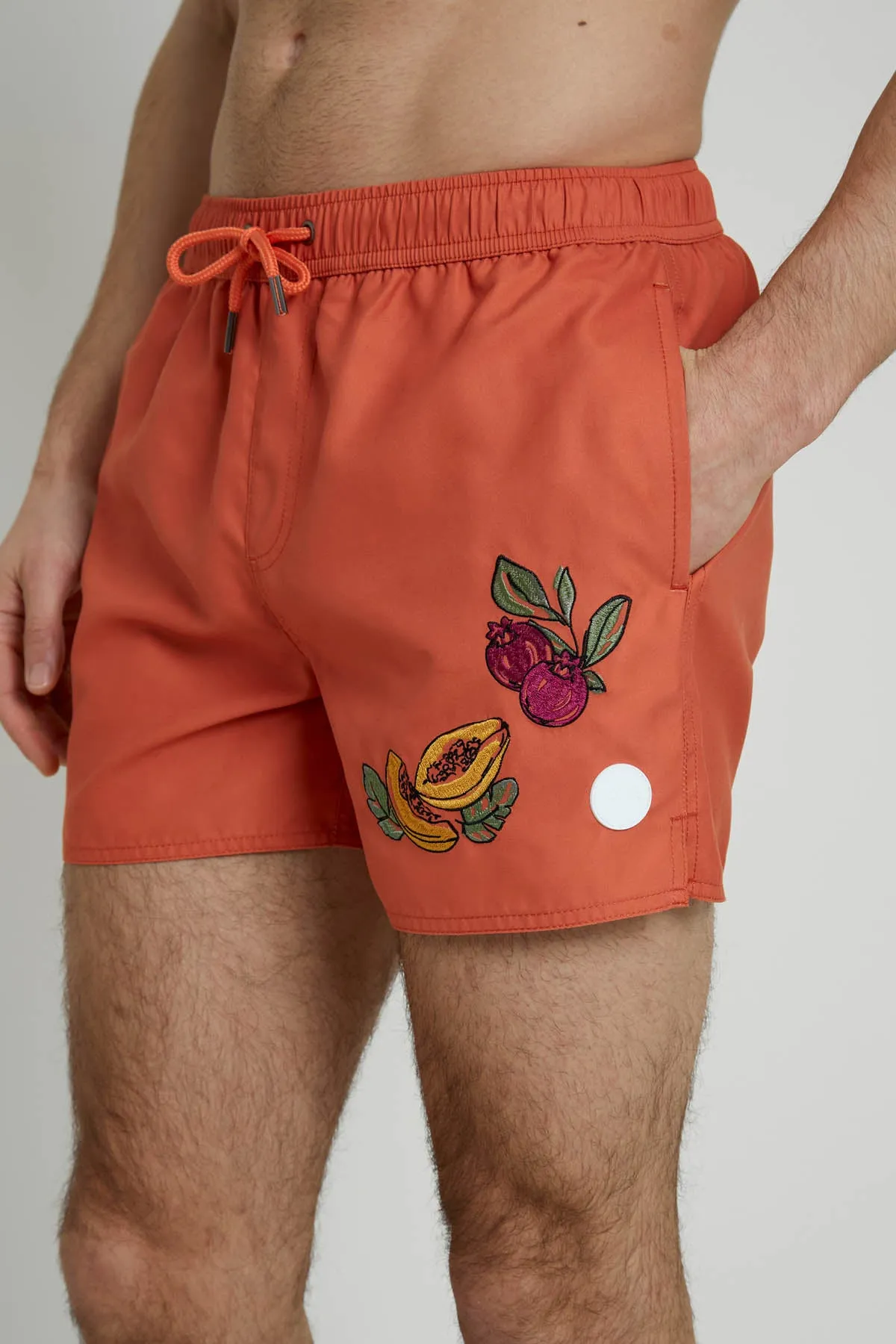 ETAERIO EMBROIDERED SWIM SHORT