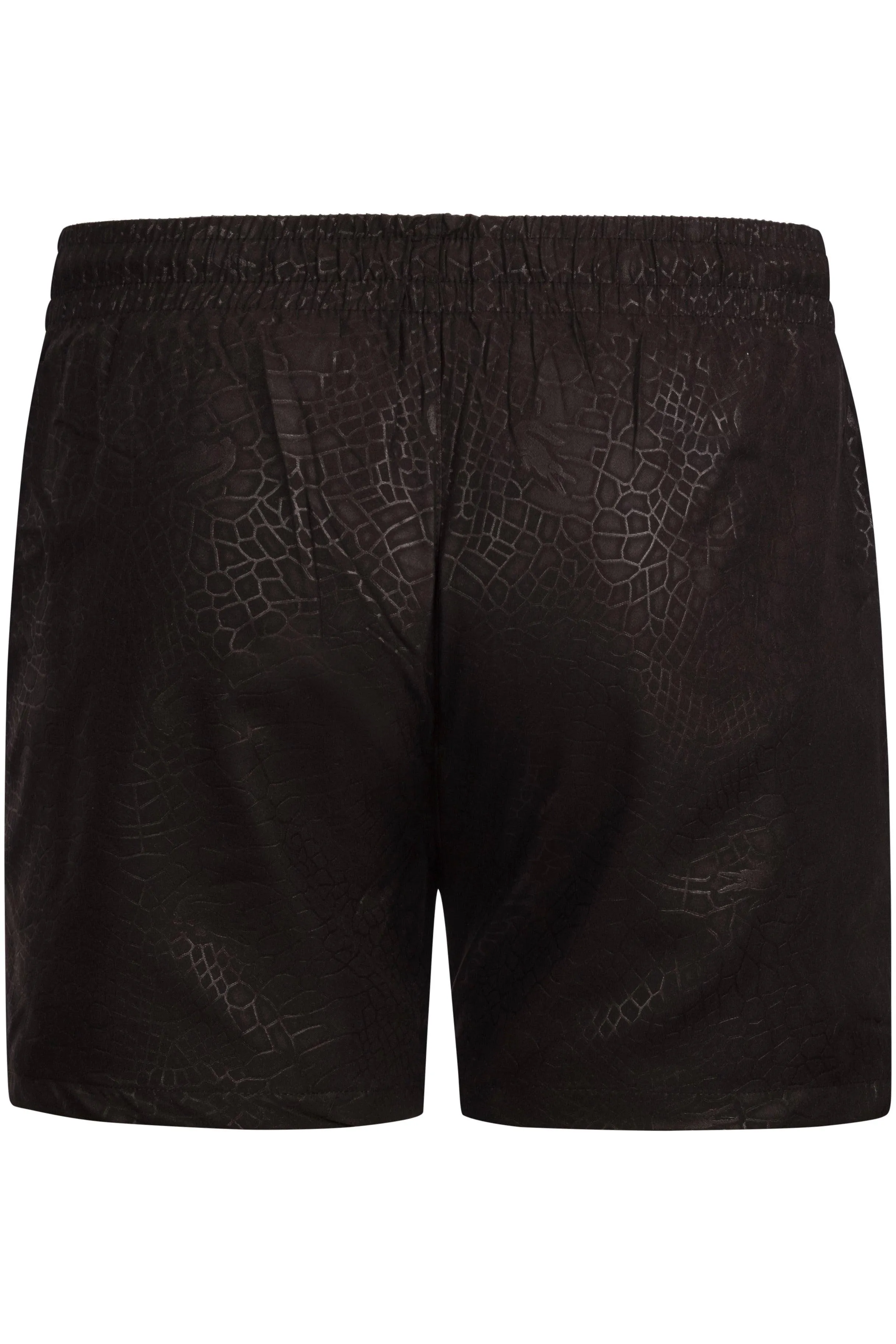 Lacoste Swim Shorts