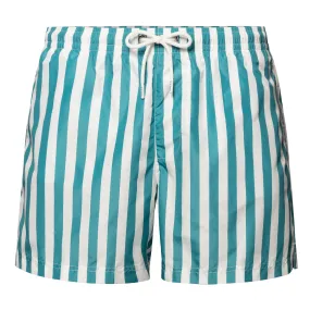 Striped Swim Shorts